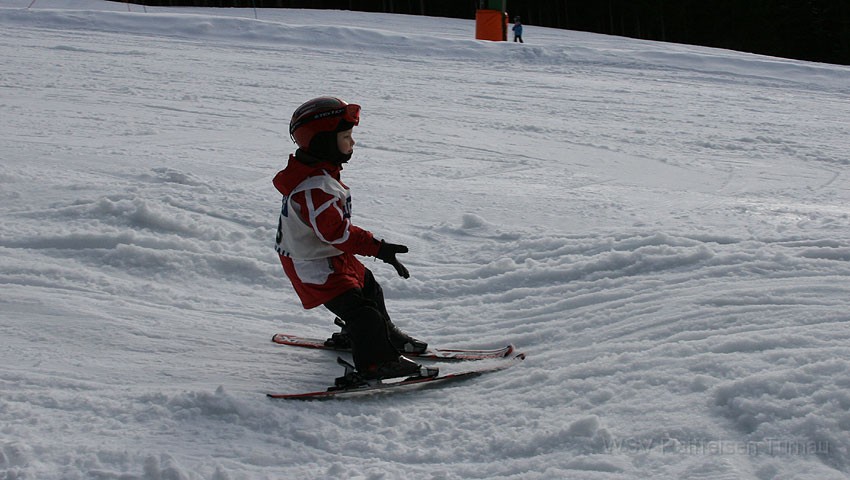 IMG_2764.jpg