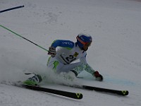 IMG 8964