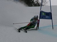 IMG 8993