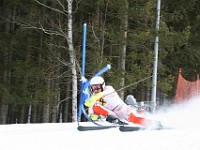 IMG 9107