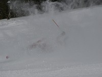 IMG 9118