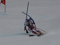 IMG 9129