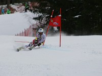 IMG 9164