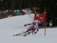 IMG 9182