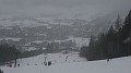 IMG_1320