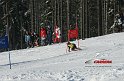 IMG_6513