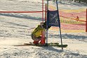 IMG_6523