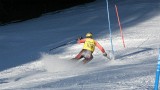 IMG_4310
