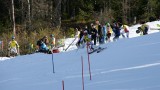IMG_4377