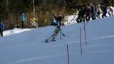 IMG_4378