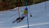 IMG_4387