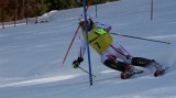 IMG_4388
