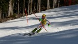 IMG_4398