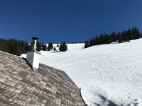 IMG 9464