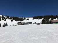 IMG 9466