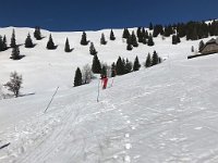 IMG 9472