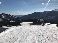 IMG 9501