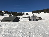 IMG 9503