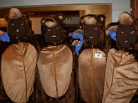 IMG 4931