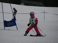 IMG 4292