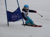 IMG 4305