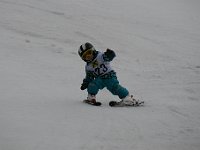 IMG 4314