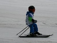 IMG 4320