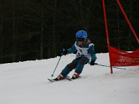 IMG 4368
