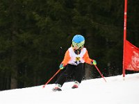 IMG 4381