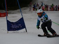 IMG 4391