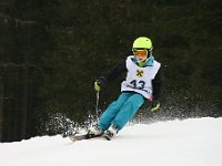 IMG 4424