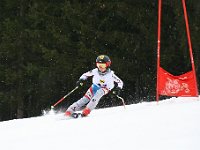 IMG 4441