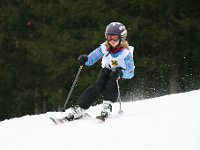 IMG 4453