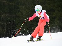 IMG 4461