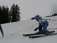 IMG 4463