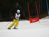 IMG 4469
