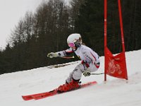 IMG 4475