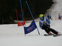 IMG 4495