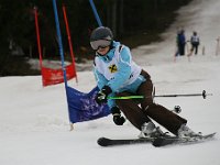 IMG 4500