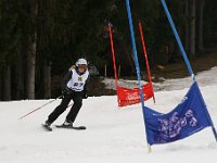 IMG 4501