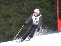 IMG 4515