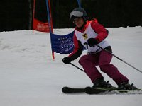 IMG 4521