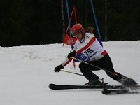 IMG 4524