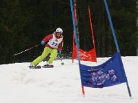 IMG 4530