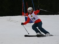 IMG 4537