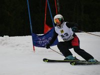 IMG 4549