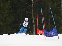IMG 4550