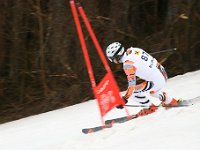 IMG 4560