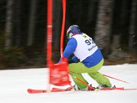 IMG 4578