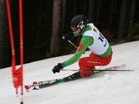 IMG 4610